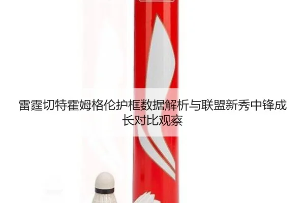 雷霆切特霍姆格伦护框数据解析与联盟新秀中锋成长对比观察